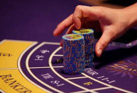 1x bed Live Tables Guide